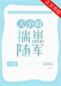 大小姐揣崽随军[六零]